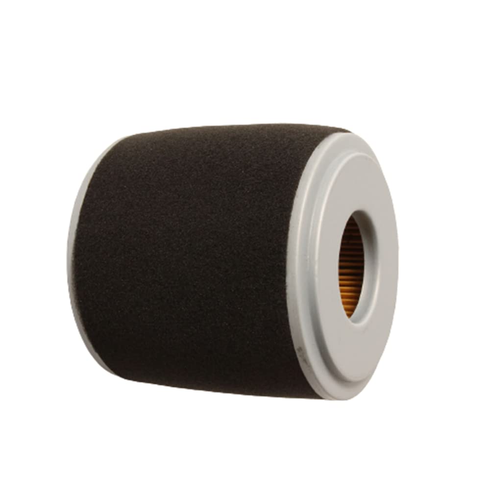 Amazon.com: Eopzol 11985 Air Filter & Pre Filter Replacement for